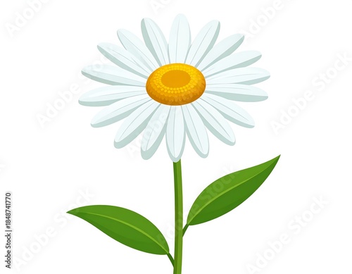 Digitized depiction of a daisy flower with white petals and a yellow center