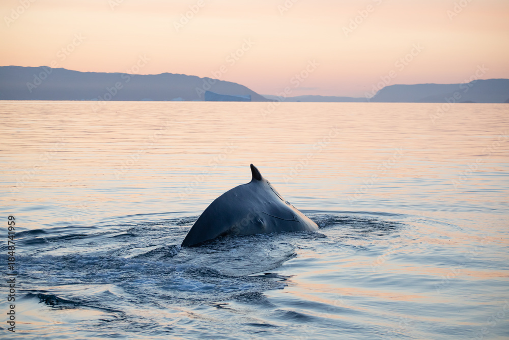 Fototapeta premium Delicate Arch, Arches National Park, Colorado Plateau, Utah, Grand County, USA, America. The most beautiful arch in the world. Summer at sunset.