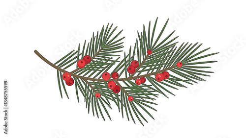 Festive evergreen branch with vibrant red berries, perfect for holiday design.
