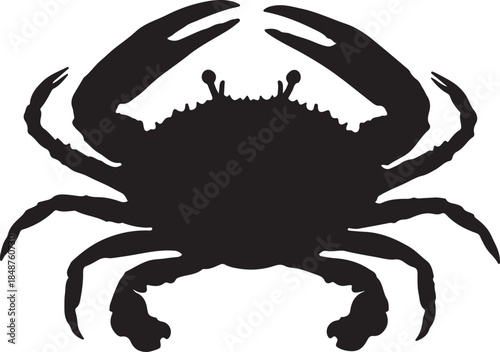 Silhouette of a crab