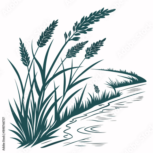 Title: A detailed of tall grass growing by the edge of a winding river with a reflection in the