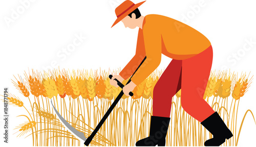 Farmer harvesting ripe wheat field using traditional sickle, rural agriculture illustration, seasonal crop cutting, sustainable farming concept, flat vector style artwork for countryside economy