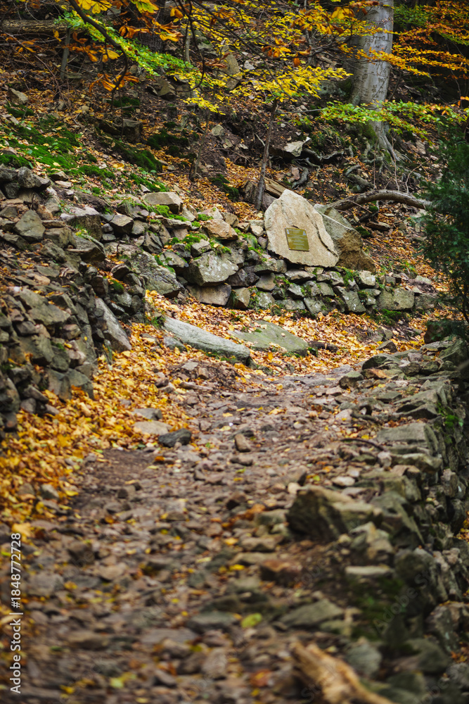 Fototapeta premium Steep Hiking Trail on the Schurre Path in the Harz Mountains