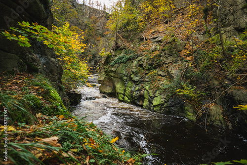 Cuadro en lienzo Flowing Bode River in the Bode Gorge, Harz Mountains, Germany