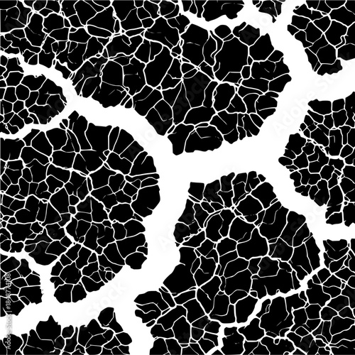 Cracked Black and White Abstract Pattern Background