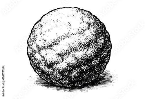 A detailed black and white illustration of a rough textured sphere with a unique, bumpy surface and strong line art shading, isolated on a white background.