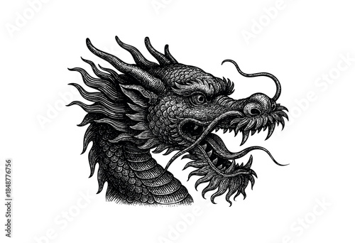 Detailed black and white illustration of a fierce dragon head with intricate scales and flowing mane, perfect for fantasy or mythical themes.