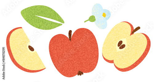 Red apple elements set with slices, flower and leaf. Noisy grainy textured minimal flat vector illustrations collection isolated on white background. 