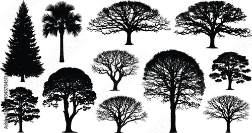 Collection of various tree silhouette icons, forest and garden plant species, nature landscape elements, botanical cad drawing flat vector illustration.
