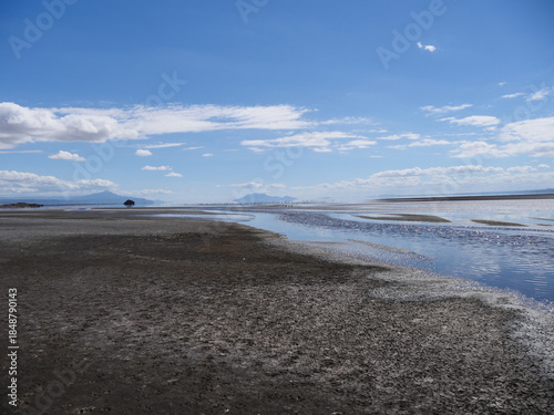 Lac Natron, Tanzanie et Flamands roses