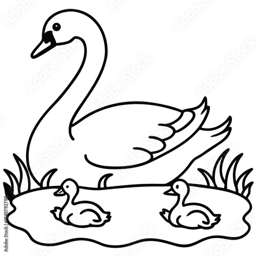 Graceful Swan with Cygnets Line Art