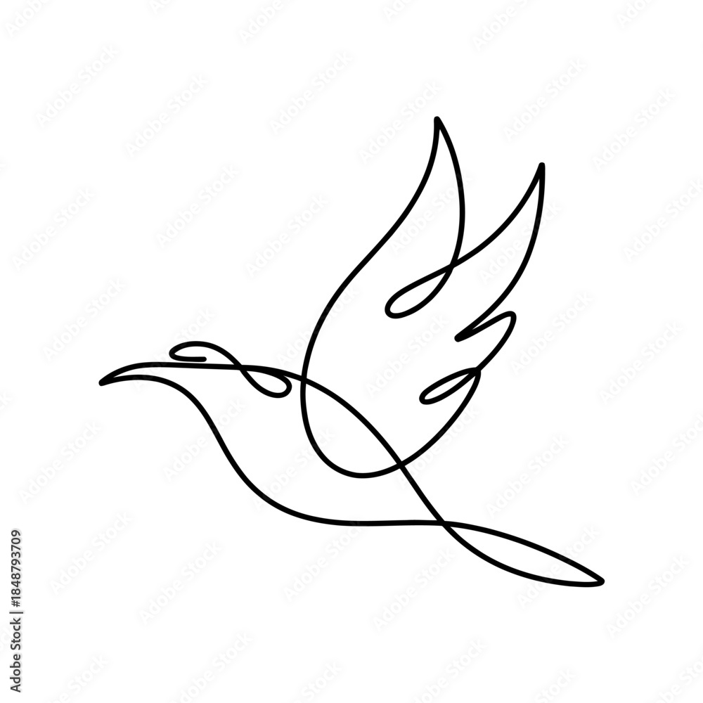 Fototapeta premium Line Art Illustration of a Flying Bird , Bird Line Art Vector Illustration