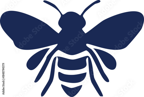 vector illustration of a butterfly