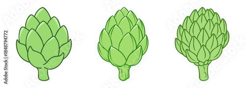 Three vibrant green artichokes isolated on a white canvas displaying natural form and texture