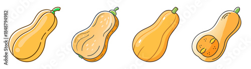 Four distinct butternut squash images showing different angles and internal view showcasing seeds