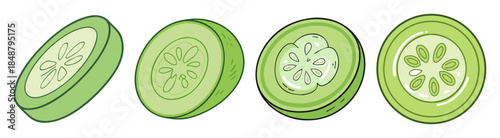 Four fresh cucumber slices showing internal structure and outer green skin healthy food ingredient isolated transparent