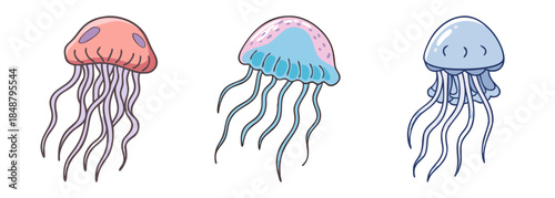 Three colorful cartoon jellyfish floating gracefully with trailing tentacles underwater ocean life aquatic creatures