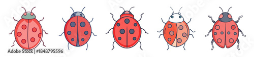 Diverse collection of red ladybugs with varying spot patterns and shades of orange