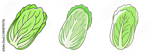 Three fresh green napa cabbage heads showing distinct leaf textures and colors isolated on white