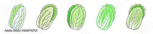 Fresh napa cabbage row arrangement of five whole organic vegetables healthy greens for cooking and salads