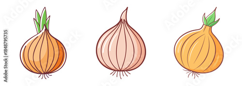 Three fresh organic onions with green sprouts ready for culinary use