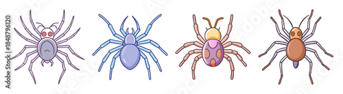 Four colorful tarantula spiders presented side by side featuring pink blue orange and purple hues