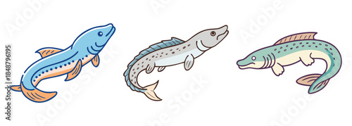 A collection of three unique cartoon fish illustrations with varied colors and patterns