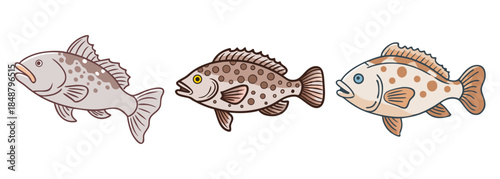 Three different kinds of spotted fish swimming underwater in a cartoon illustration
