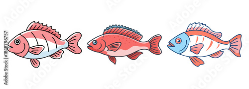 An illustration featuring a trio of brightly colored cartoon fish in different shades and markings