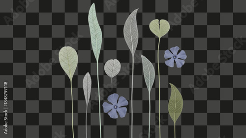 Collection of delicate skeletal transparent leaves and small blue flowers, detailed botanical composition showing fragile vein structures, nature illustration for organic design elements