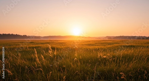 Sunrise Over Golden Grass Field