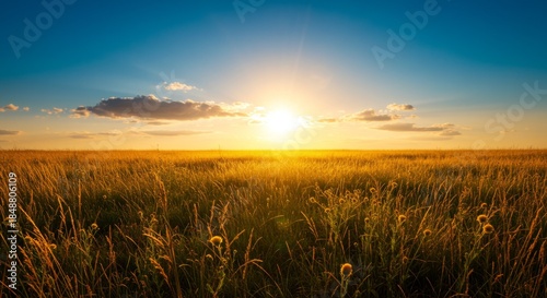 Golden Sunset over a Vibrant Grass Field