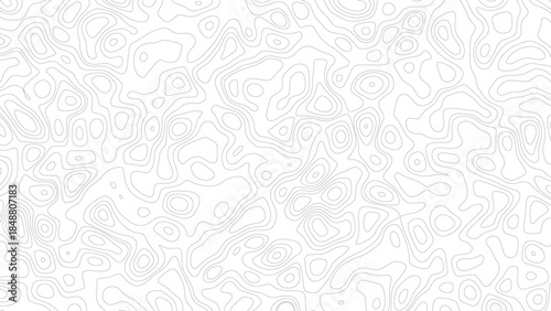 Topography background. Vector banner. Topographic map. Design illustration for wall art, fabric, packaging, web, banner, wallpaper.