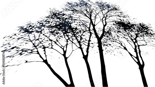 Bare trees against overcast sky in winter