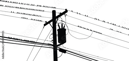 Electric power pole silhouette with transformer and birds on wires illustrating energy infrastructure wildlife interaction electricity vector illustration
