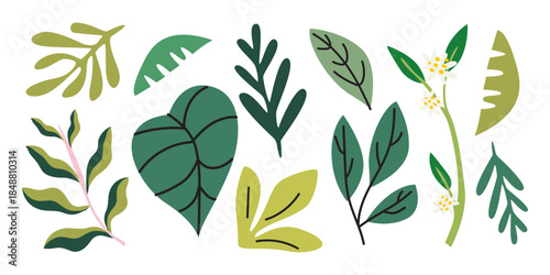 Hand drawn bright green leaves set of various shapes isolated on white background. Various tropical and botanical leaves for seasonal design, greeting cards, patches, labels, stamps, stickers