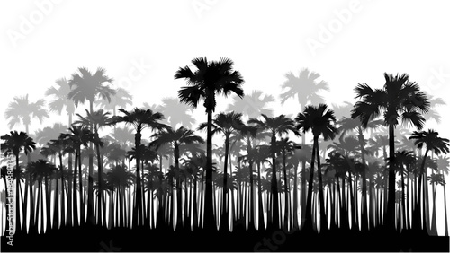 Monochrome palm tree silhouettes against white background