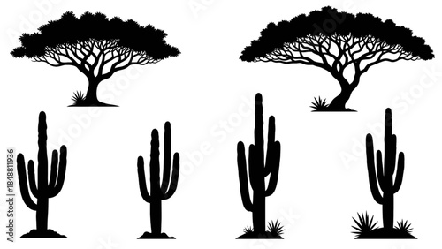 Desert landscape with tree and cactus silhouettes on white background