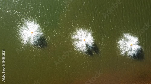 Aerial view of water aerators creating circular splashes on a green water surface. Abstract pattern representing water treatment, environmental management, sustainability, and clean water concepts.