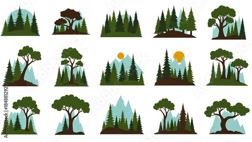 Forest landscape with various trees and mountains