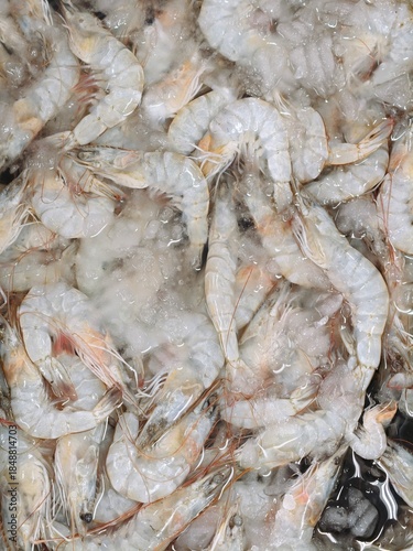 Close-Up of Fresh Raw White Shrimp (Prawns) on Crushed Ice at a Seafood Market or Supermarket Display