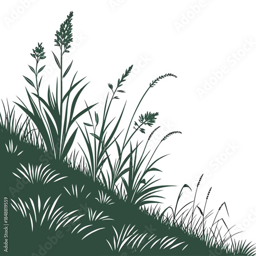 Green grassy hill with various grasses and plants on white background