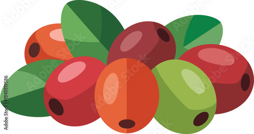 Assorted coffee berries in various colors with green leaves on transparent background