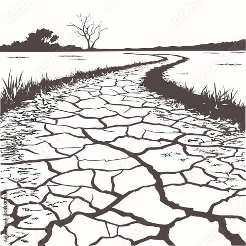 Dry riverbed with cracked earth and sparse vegetation