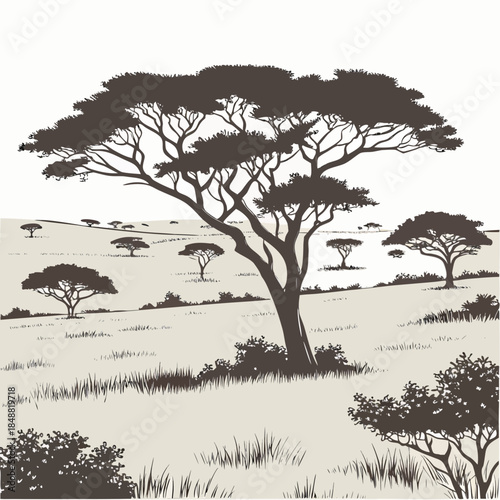 Wide savanna landscape with scattered trees and shrubs in sepia tones