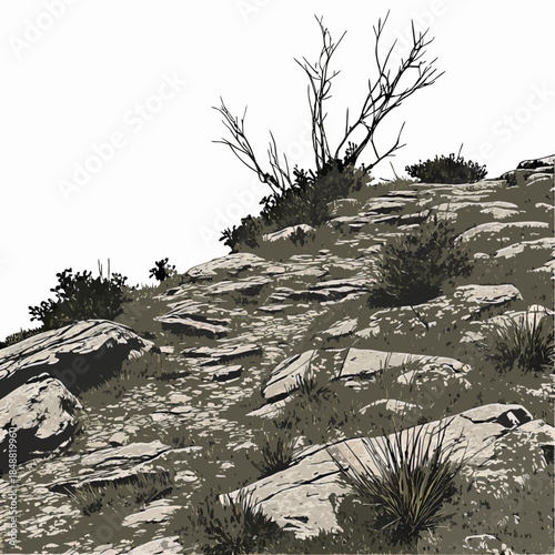 Rocky plateau with sparse vegetation landscape