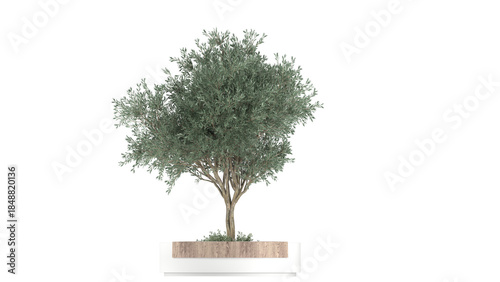 Obraz na plátně park element tree with circle seat