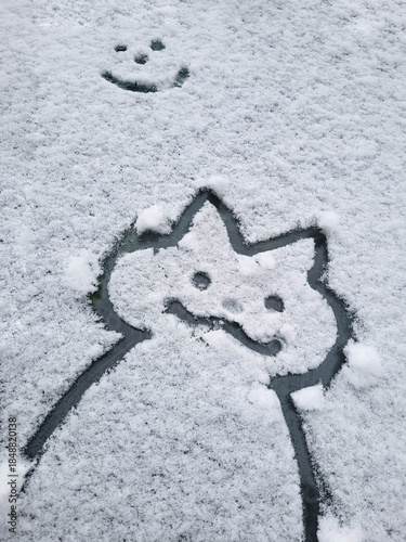 A funny cat is drawn on the fresh snow