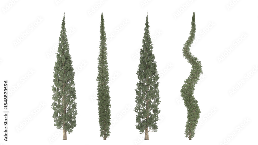 Fototapeta premium Various types of tree branch plants bushes shrub and and small plants isolated