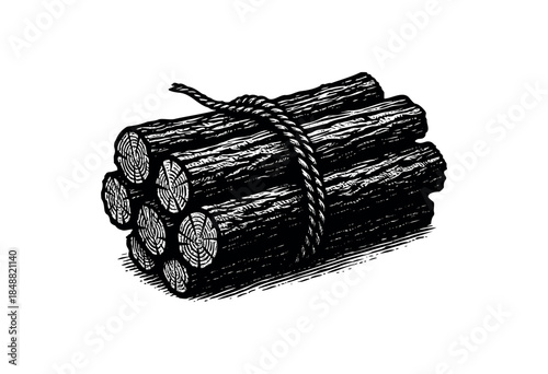 A stark black and white illustration depicts a bundle of logs bound together by a thick rope, with detailed wood grain textures.